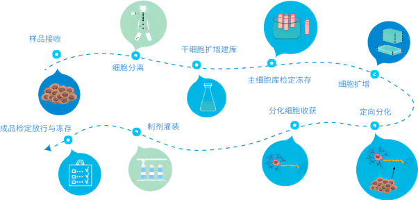 【干貨】細(xì)胞治療怎么走？政策法規(guī)全解析（上）