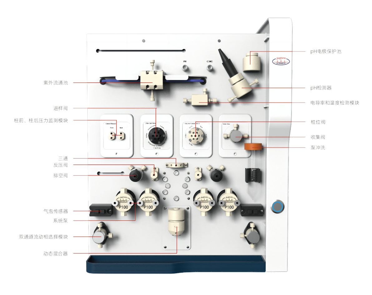 SDL2(1)