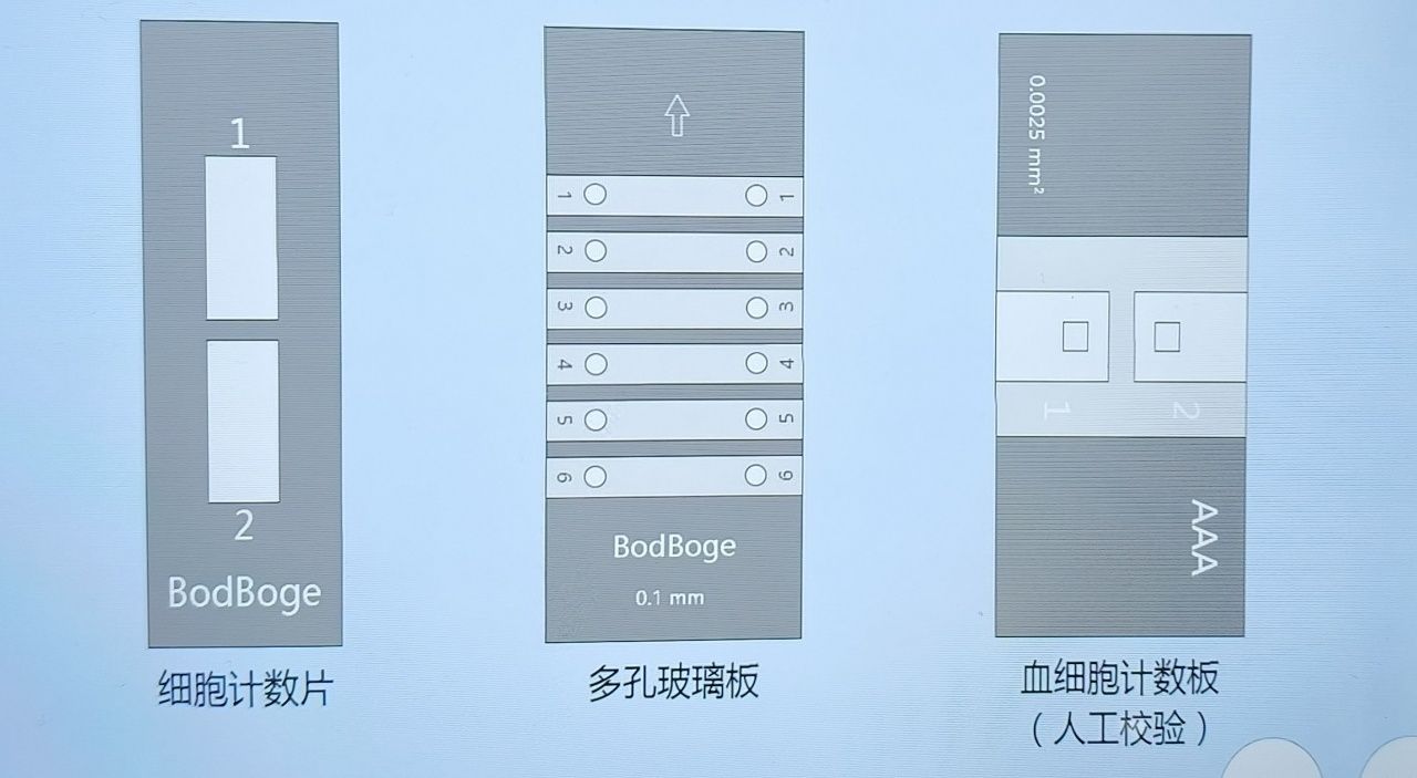 血細(xì)胞計(jì)數(shù)片-上官網(wǎng)修改